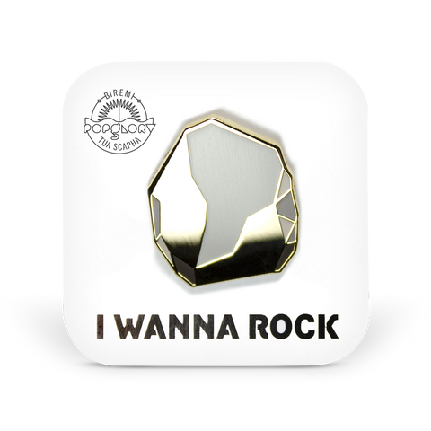 I Wanna Rock pin